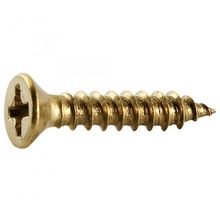 Brass plated Phillips screw