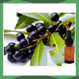 Natural Laurel Berry Oil