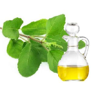 Tulsi Oil