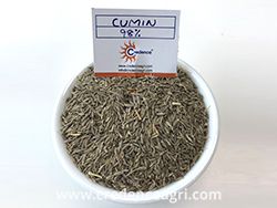 Cumin Seeds