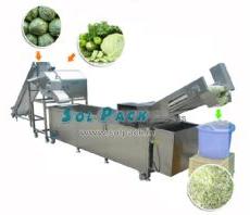 Cabbage Washing and Dicing Production Machine