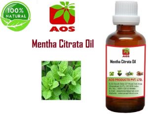 Mentha Citrata Oil