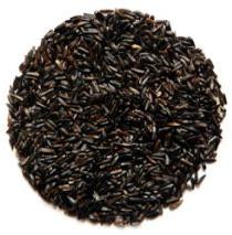 Niger Seed