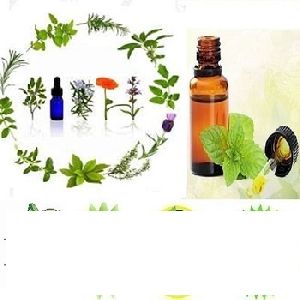 Herbal Fragrance