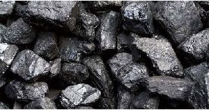 MP Steam Coal