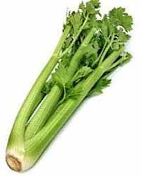 Celery