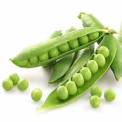 Green Peas