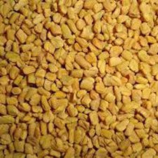 Fenugreek Seed