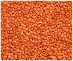 Red Lentils