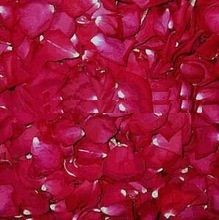 Natural Rose Petals