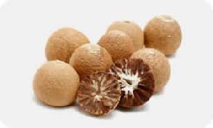 Areca Nuts