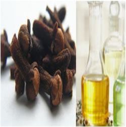 Cinnamon Oil