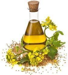 Dill Seed Oil