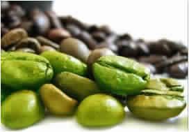 Green Coffee Extract