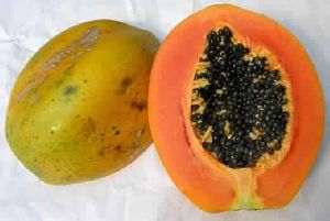 Papaya Extract