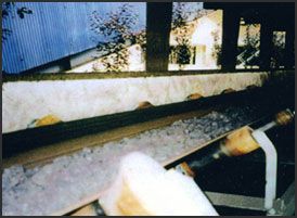 Chemical Resistant Conveyor Belt