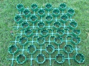 Green Grass Pavers