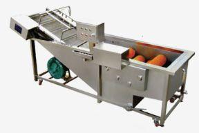 Vegetable Washer Machine