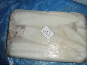 SQUID WHOLE FISH