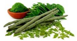 Moringa Oleifera Extract