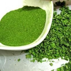 Mulberry Leaf Powder