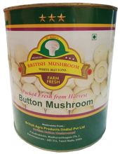 British Canned Button Mushroom