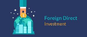 Foreign Direct Investment Consultant