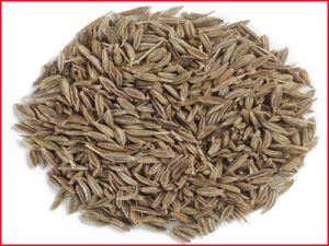 Cumin Seed