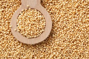 amaranth grain