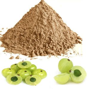 Dried Amla Powder