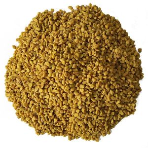 Fenugreek Seed