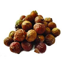 Soap Nuts