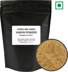 Jamun Seeds Powder