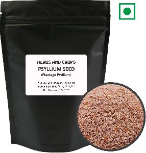 Psyllium Seeds