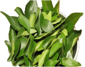 Fresh Curry Leaves