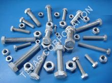 Galvanized Fastener