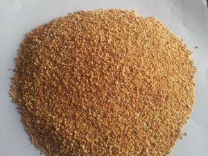 Dehydrated Garlic Granule