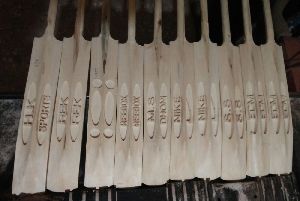 Scoop Tennis Cricket Bat