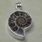 Ammonite Gemstone Pendant