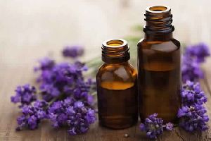 Lavender Oil