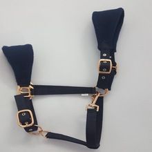 nylon halter Horse with rose gold fittings