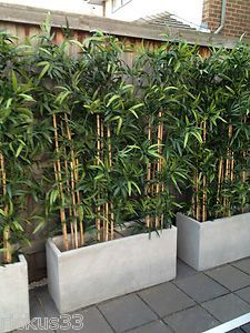 Bamboo Planter