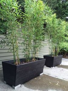 Bamboo Planters