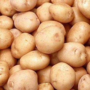 Jyoti Potato