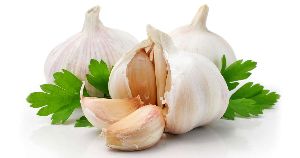 natural garlic
