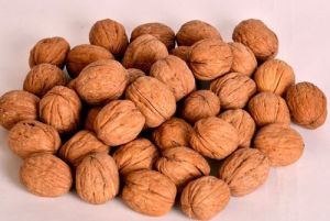 Shelled Walnuts