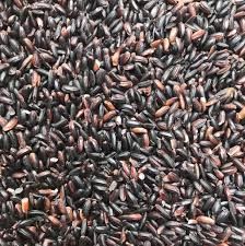 Long Grain Black Rice