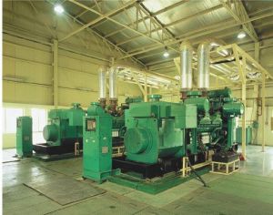 Diesel Generators