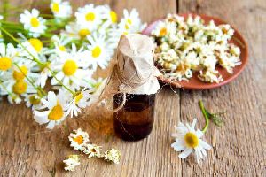 Chamomile German Essential Oil