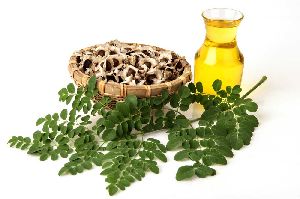 Moringa Carrier Oil